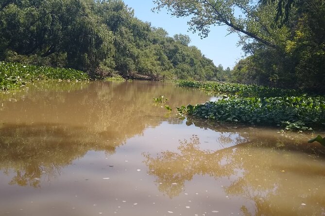 Safari náutico en tigre - Parana de las Palmas and the Delta Split Into Primera and Segunda