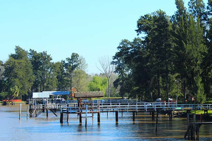 Tigre: River Delta Panoramic Boat Tour - Should You Book This Tigre River Delta Panoramic Boat Tour?