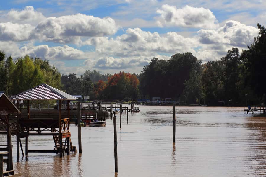 Tigre: River Delta Panoramic Boat Tour - Getting to Estación Fluvial Tigre and Finding Sturla Viajes