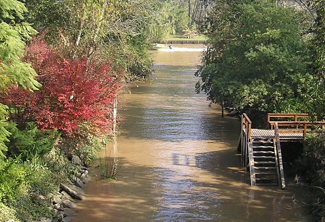 Tigre with Lunch overlooking the River and Navigation - Practical considerations before you go